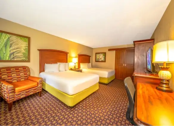 Accommodation photo 4