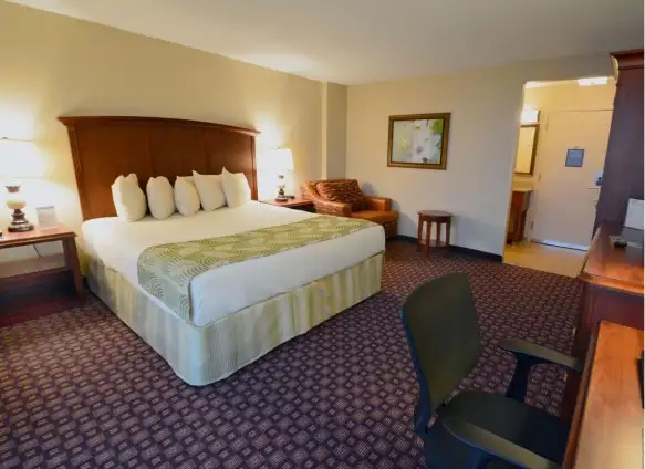 Accommodation photo 6